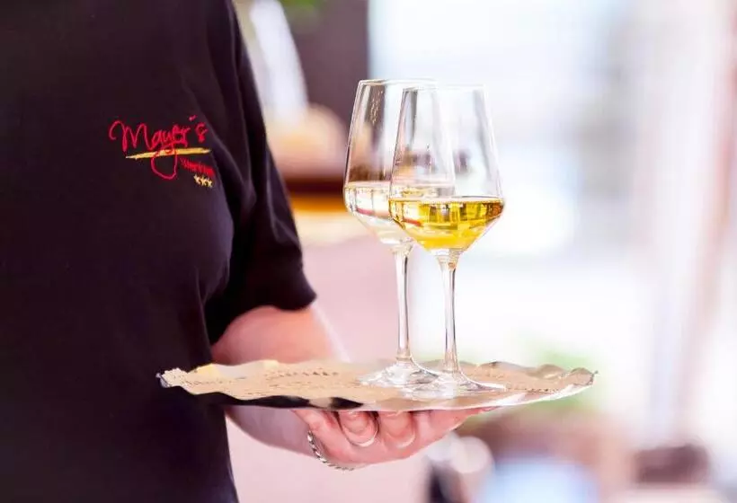 ホテル Mayer S Wein