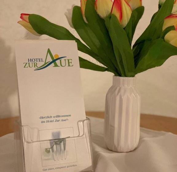 酒店 Zur Aue