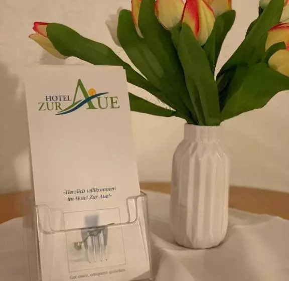 Hotelli Zur Aue