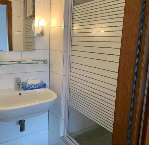 Hotelli Zur Aue