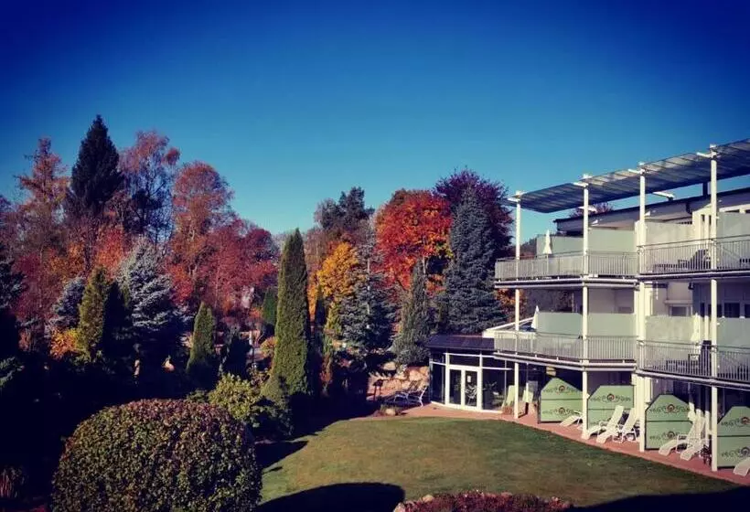 Parkhotel Flora Am Schluchsee