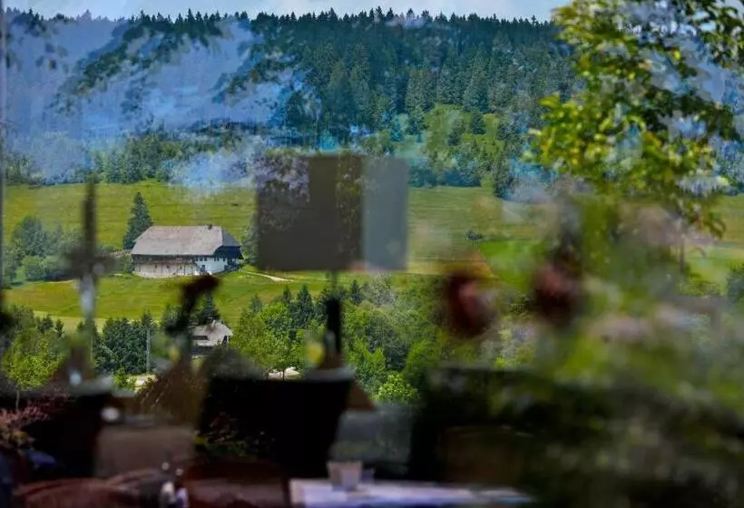 Parkhotel Flora Am Schluchsee