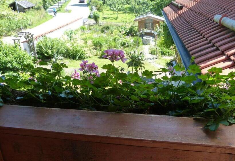 Suzanne's B&b & Gardens