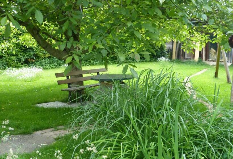 Suzanne's B&b & Gardens