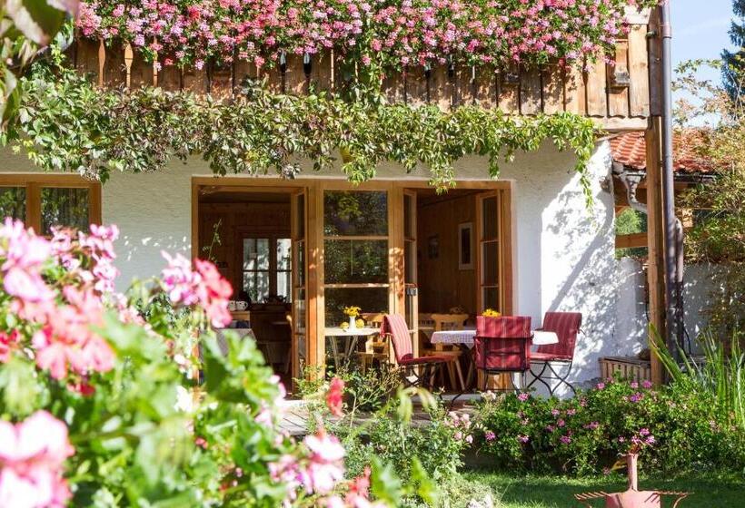 Suzanne's B&b & Gardens