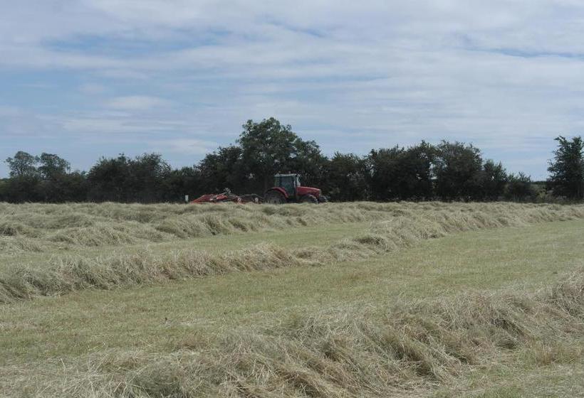 ベッドアンドブレックファースト Handley Barn