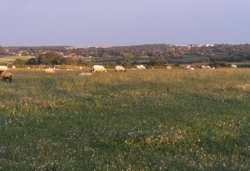 ベッドアンドブレックファースト Handley Barn