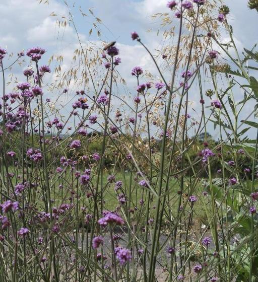 ベッドアンドブレックファースト Handley Barn