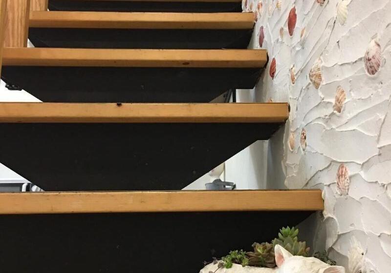 تختخواب و صبحانه Ktsea Inn