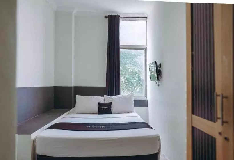Hotel Ds Colive Peterongan