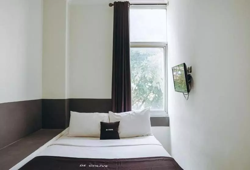 Hotel Ds Colive Peterongan