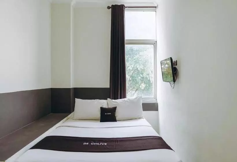 Hotel Ds Colive Peterongan
