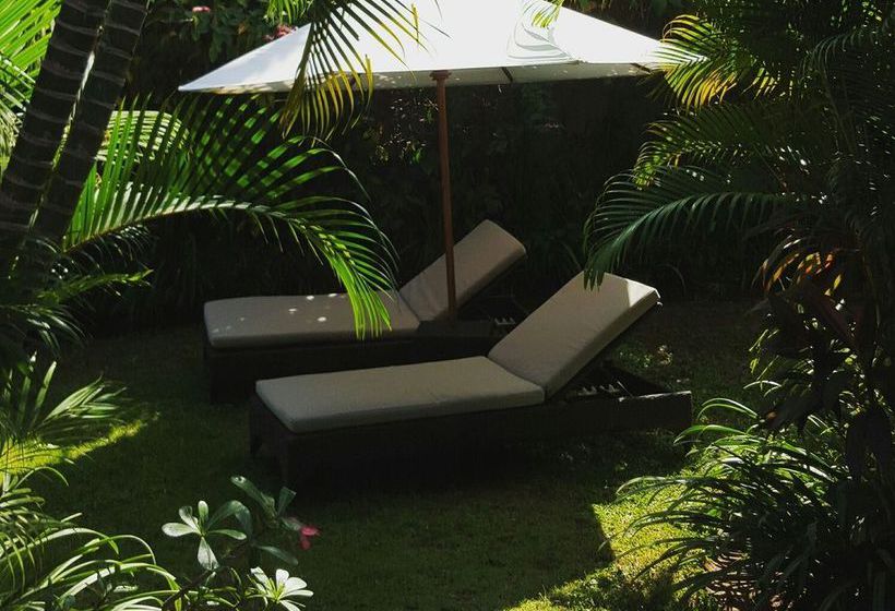 هتل Buki Hostel Canggu