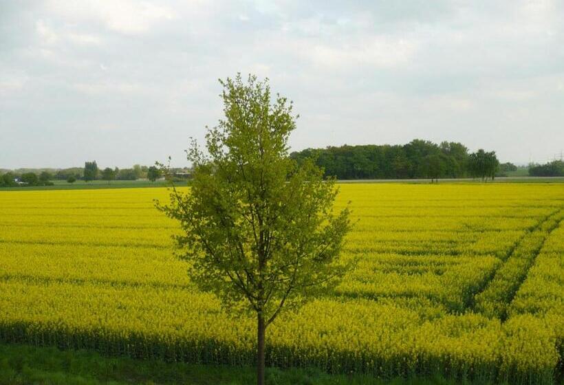 호텔 Gaststätte Mutter Buermann