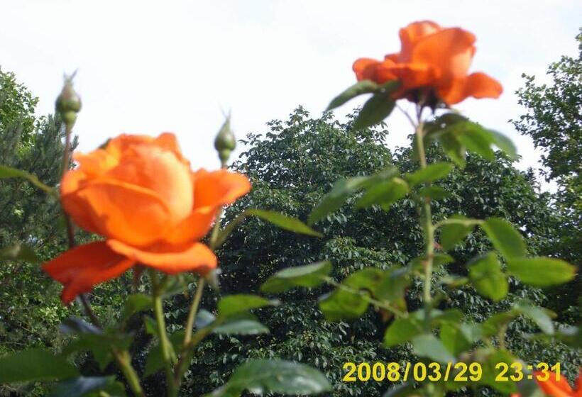 Schökel´s Hotel Und Restaurant