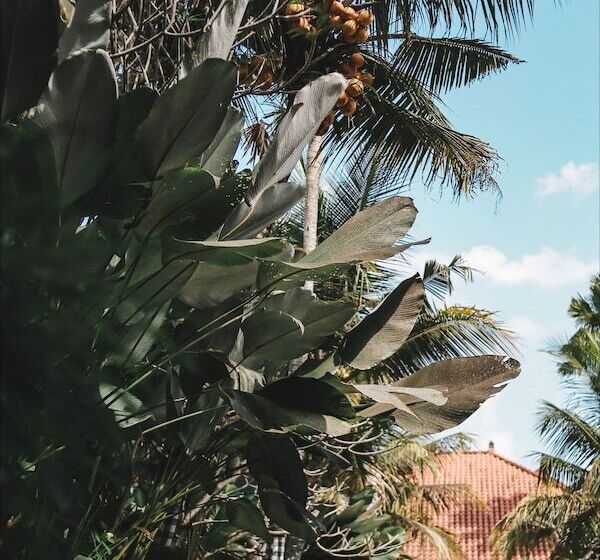 Ubud Hotel & Cottages