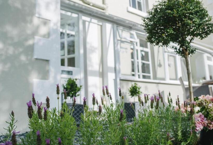 Apple Tree Bed And Breakfast