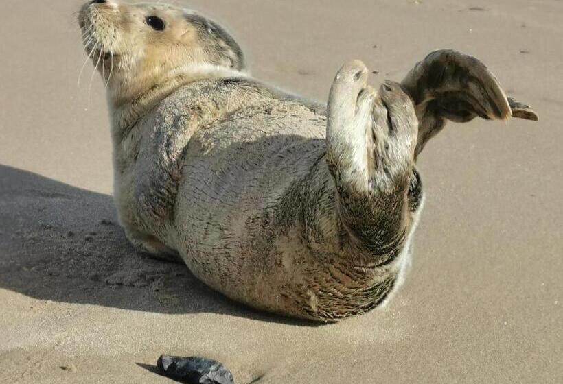 민박 Anchoragewells Next The Sea