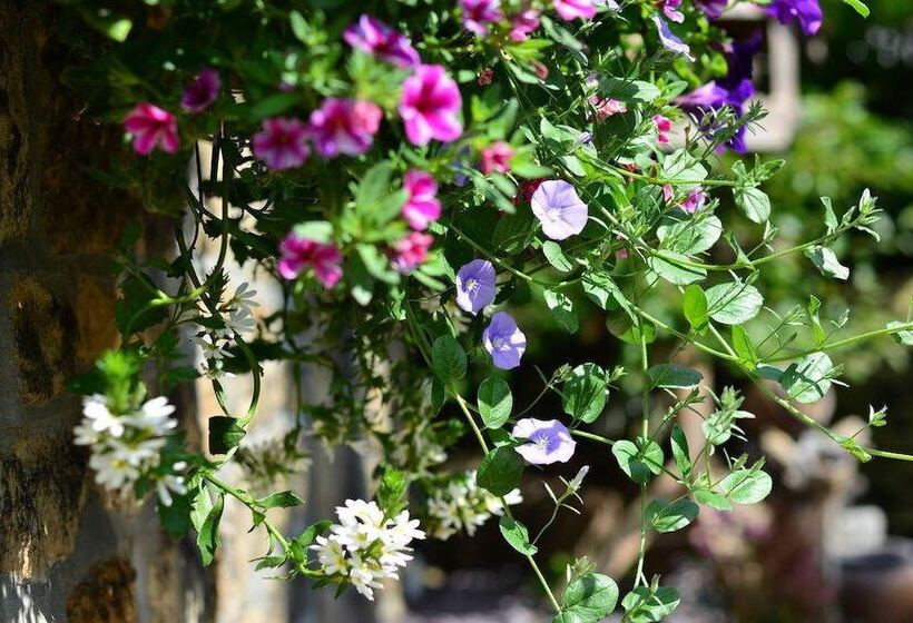 مبيت وإفطار Busfeild Arms