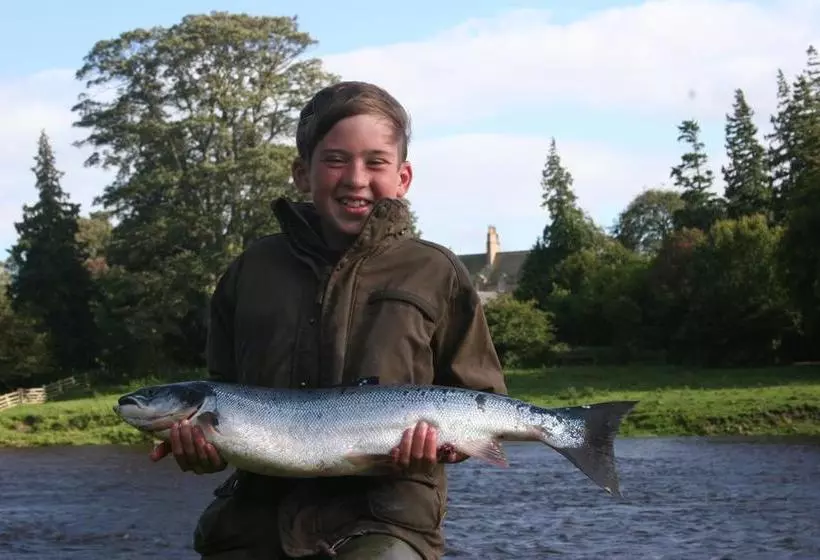 تختخواب و صبحانه Duncan House