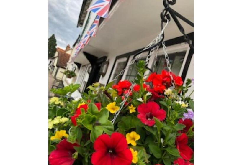 Bed and Breakfast The Yew Tree