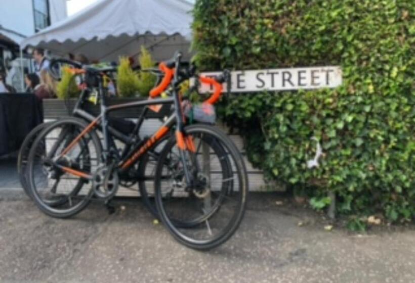 Bed and Breakfast The Yew Tree