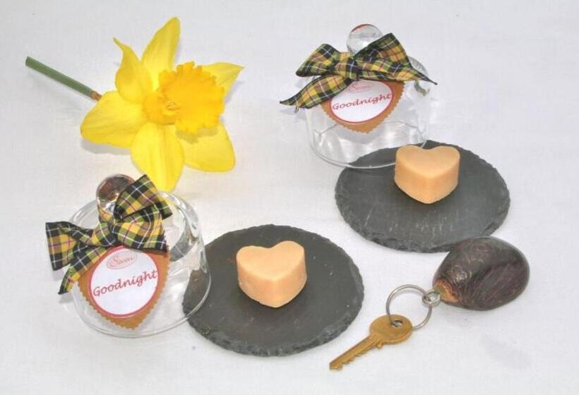 Seven Bed And Breakfast