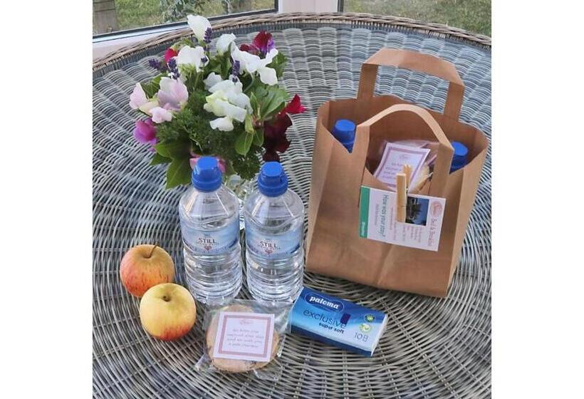 Seven Bed And Breakfast