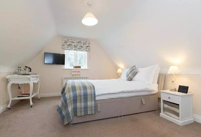 Whitethorn Bed And Breakfast