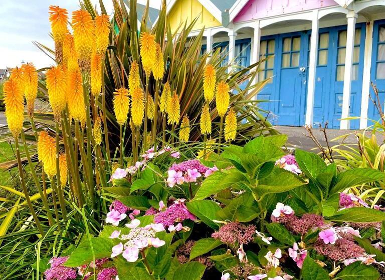 민박 Bayliss Hall Guesthouse