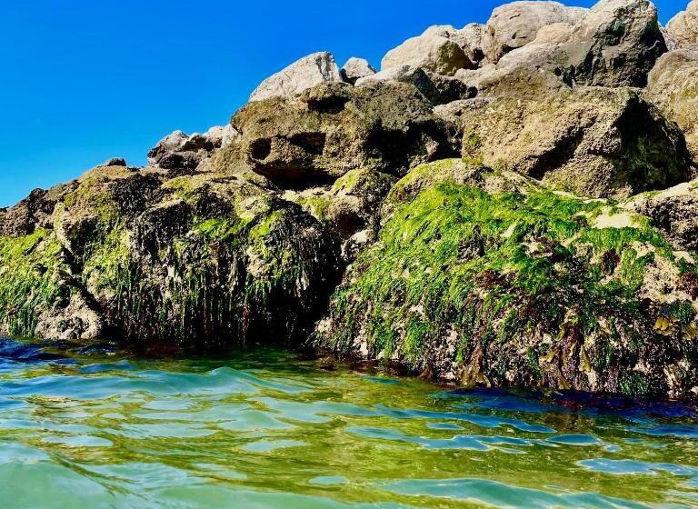 민박 Bayliss Hall Guesthouse