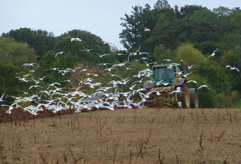 צימר Courtbrook Farm