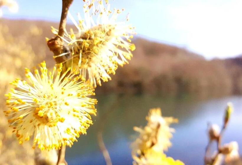 Bed and Breakfast Schooner Point Guest House