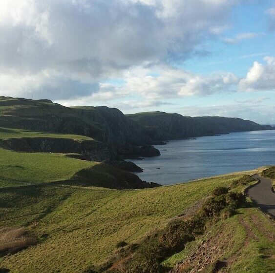 مبيت وإفطار The Home Arms Guesthouse