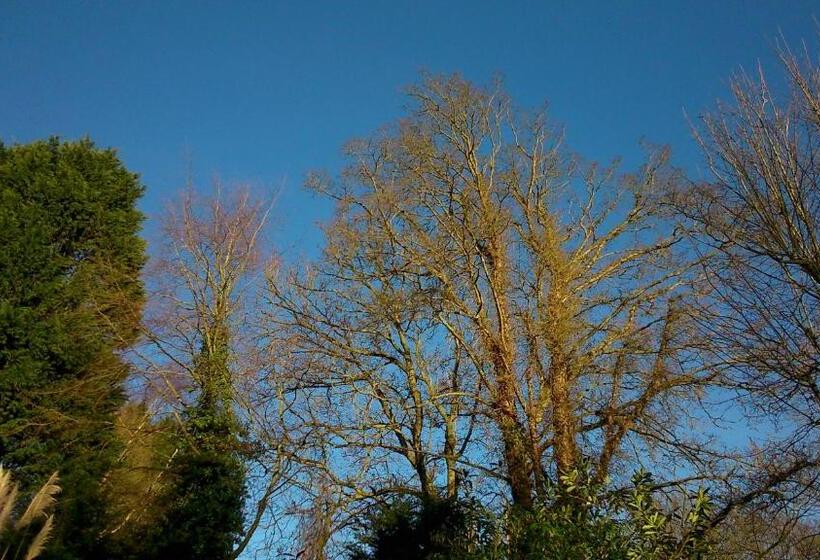 تختخواب و صبحانه Thornybank