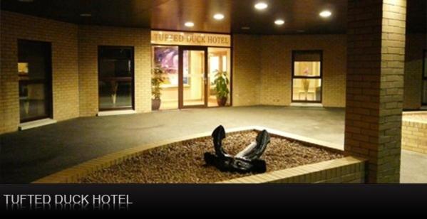 בית מלון כפרי Tufted Duck