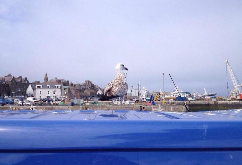 בית מלון כפרי Tufted Duck