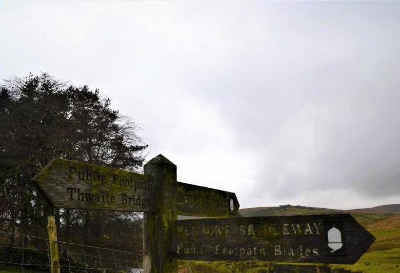 The Garsdale Bed & Breakfast   Goats And Oats At Garsdale