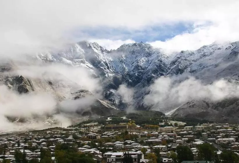 هاستل Hq Of Nove Sujashvili