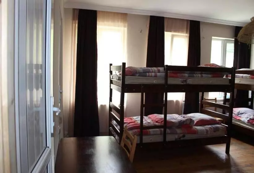 هاستل Hq Of Nove Sujashvili