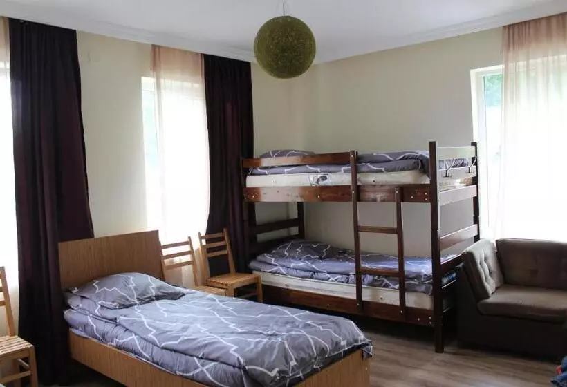 هاستل Hq Of Nove Sujashvili