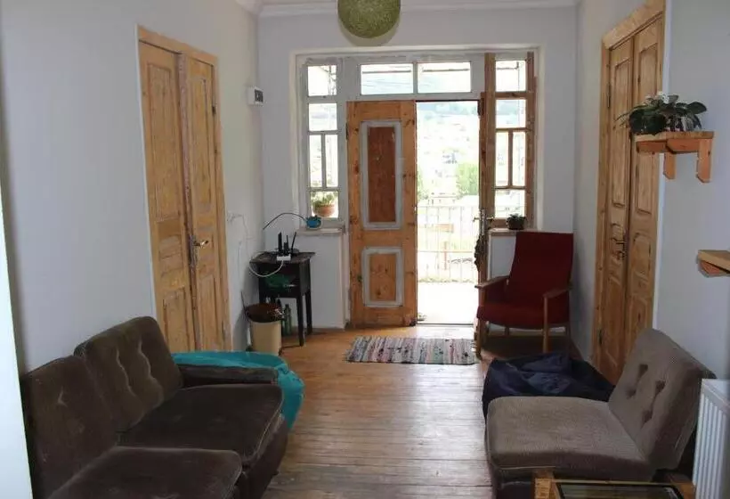 هاستل Hq Of Nove Sujashvili
