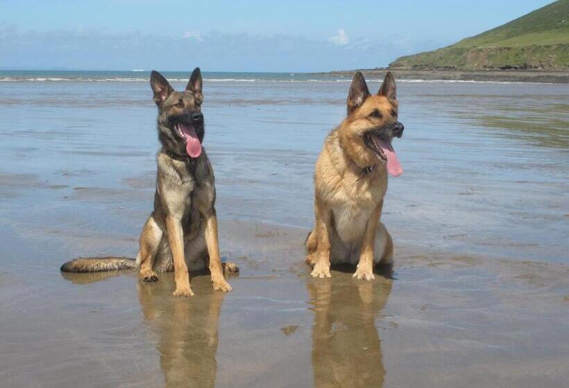 민박 Camellia Lodge Guest House