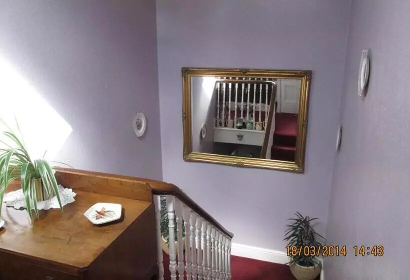 ベッドアンドブレックファースト Camellia Lodge Guest House