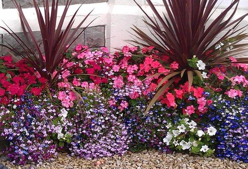 민박 Camellia Lodge Guest House