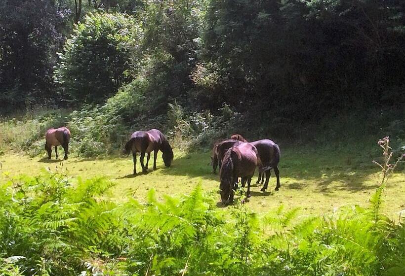 هتل Marston Lodge