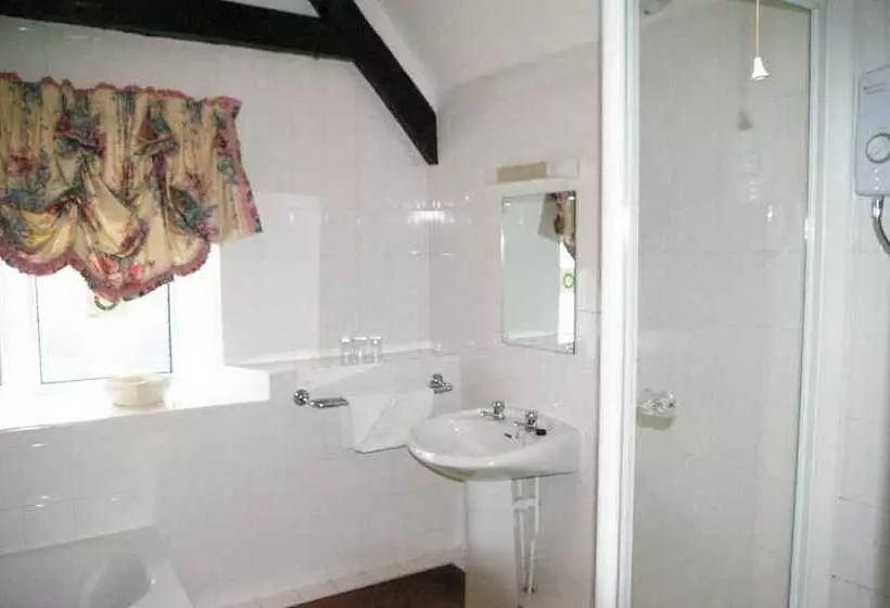 Plas Coch Hotel Ltd