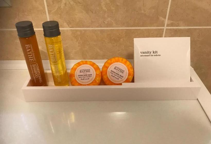 Mansfield Lodge Hotel Ltd