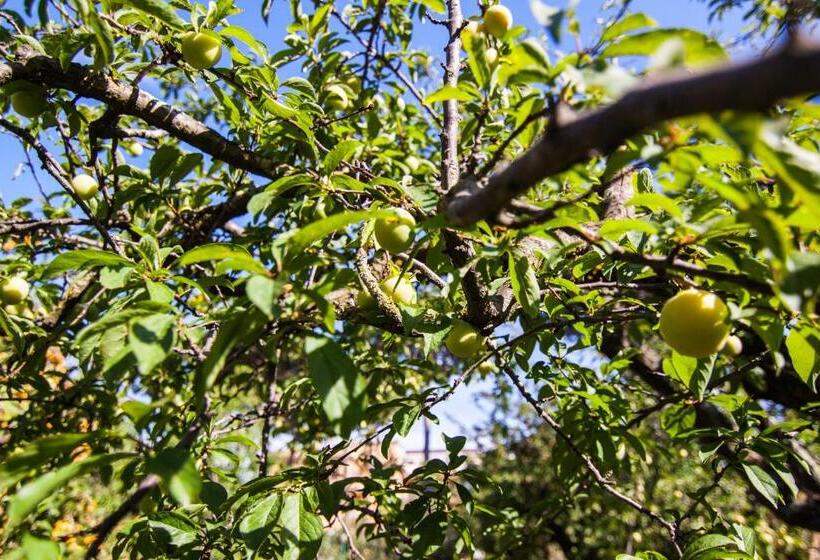 Pensjonat Ostello Villa Monte Mario