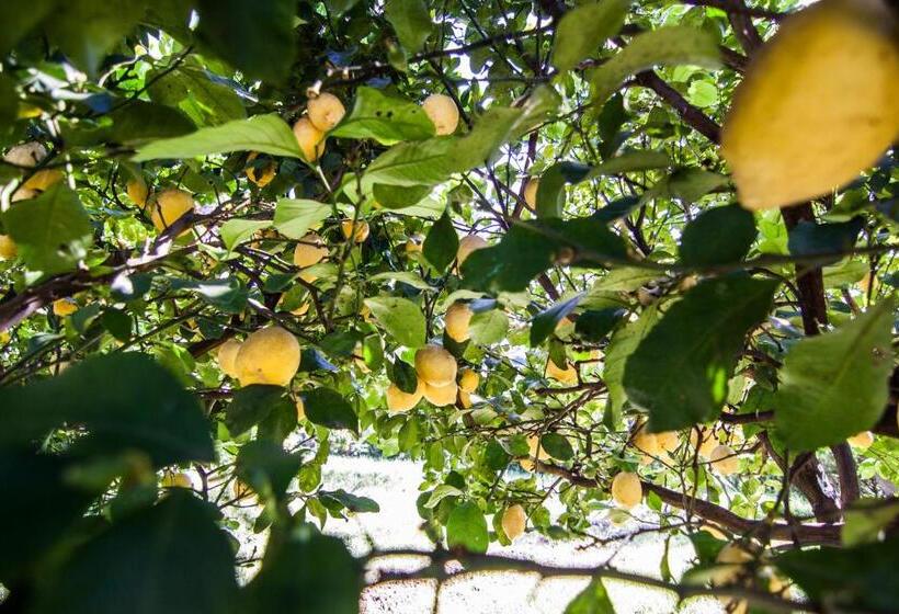 Pensjonat Ostello Villa Monte Mario